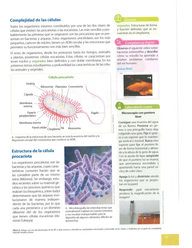 Página 28 de Ciencias Naturales 9° · 2025
