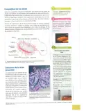 Miniatura página 28 de Ciencias Naturales 9° · 2025