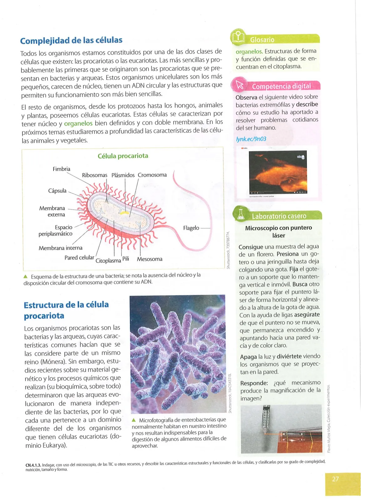 Pág 28