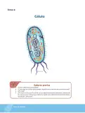 Miniatura página 59 de Biologia 2° · Bgu 2 Biologia 2024 · 2024
