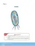 Miniatura página 59 de Biologia 2° · Bgu 2 Biologia 2024 · 2024