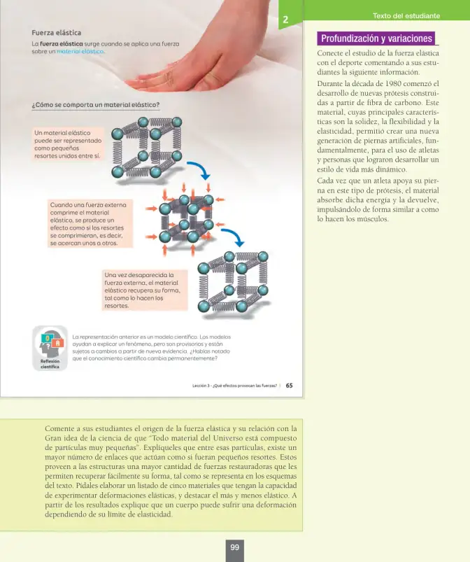 Página 100 de Ciencias Naturales – Séptimo Básico | Texto del Estudiante MINEDUC – Descargar PDF · 2024