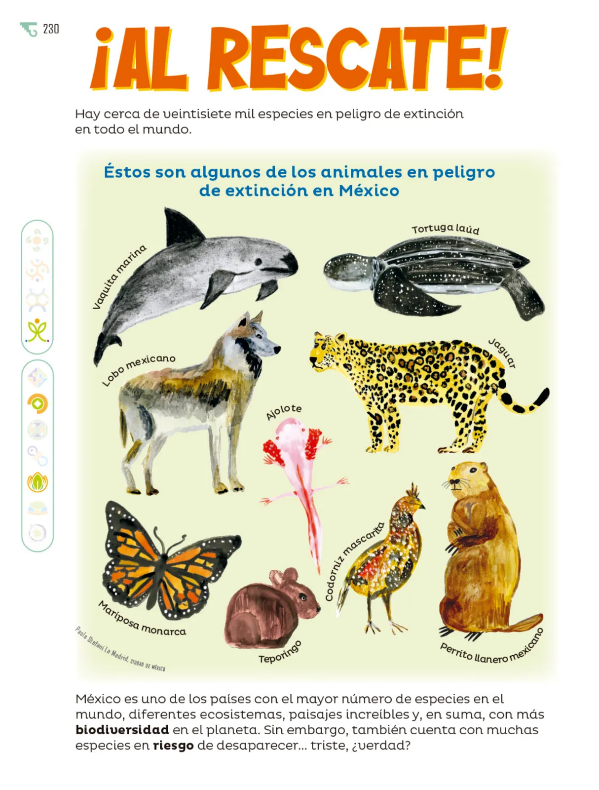 Miniatura página 231 de Múltiples lenguajes.   Libro de Educación Primaria Grado 6°  Ciclo Escolar 2025 - 2026