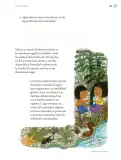 Miniatura página 196 de Proyectos de Aula.   Libro de Educación Primaria Grado 5°  Ciclo Escolar 2025 - 2026