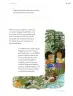 Miniatura página 196 de Proyectos de Aula.   Libro de Educación Primaria Grado 5°  Ciclo Escolar 2025 - 2026