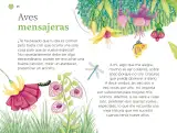 Miniatura página 125 de Múltiples lenguajes.   Libro de Educación Preescolar Grado 2°  Ciclo Escolar 2025 - 2026