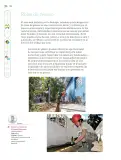 Miniatura página 197 de Nuestros saberes: Libro para alumnos, maestros y familia.   Libro de Educación Primaria Grado 6°  Ciclo Escolar 2025 - 2026