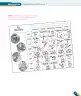 Miniatura página 39 de Inglés – Cuarto Básico | Texto del Estudiante MINEDUC – Descargar PDF · 2024