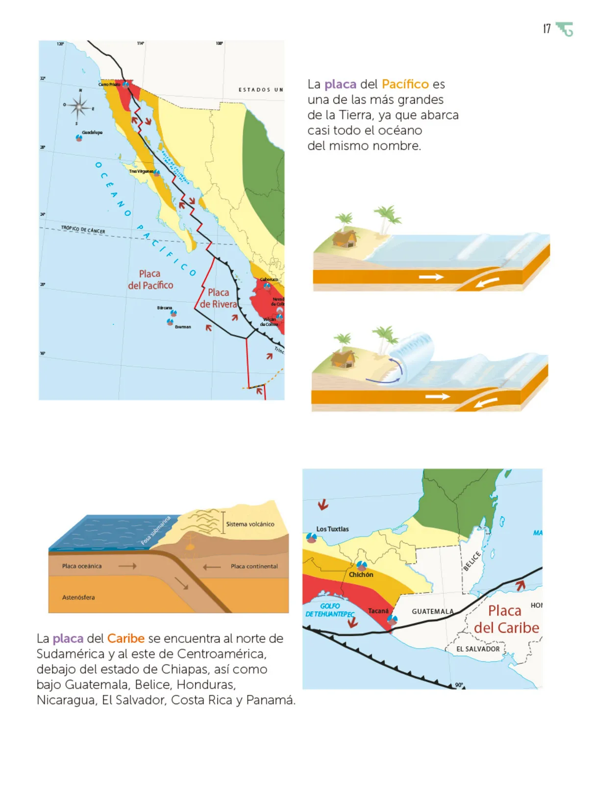 Página 18 de Múltiples lenguajes. Libro de Educación Primaria Grado 5° Ciclo Escolar 2025 - 2026