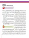 Pág 102