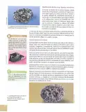 Miniatura página 95 de Ciencias Naturales 10° · 2025