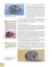 Miniatura página 95 de Ciencias Naturales 10° · 2025