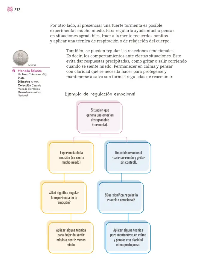 Página 233 de Nuestros saberes: Libro para alumnos, maestros y familia. Libro de Educación Primaria Grado 3° Ciclo Escolar 2025 - 2026