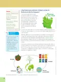 Miniatura página 28 de Ciencias Naturales 6° · Egb 6 Ciencias Naturales 2025 · 2025