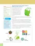 Miniatura página 28 de Ciencias Naturales 6° · Egb 6 Ciencias Naturales 2025 · 2025