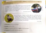 Pág 46