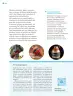 Miniatura página 45 de Nuestros saberes: Libro para alumnos, maestros y familia.   Libro de Educación Primaria Grado 1°  Ciclo Escolar 2025 - 2026