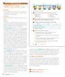 Miniatura página 76 de Sumo Primero – Tercero Básico | Texto del Estudiante MINEDUC – Descargar PDF · 2024