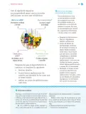 Miniatura página 14 de Nuestros saberes: Libro para alumnos, maestros y familia.   Libro de Educación Primaria Grado 2°  Ciclo Escolar 2025 - 2026
