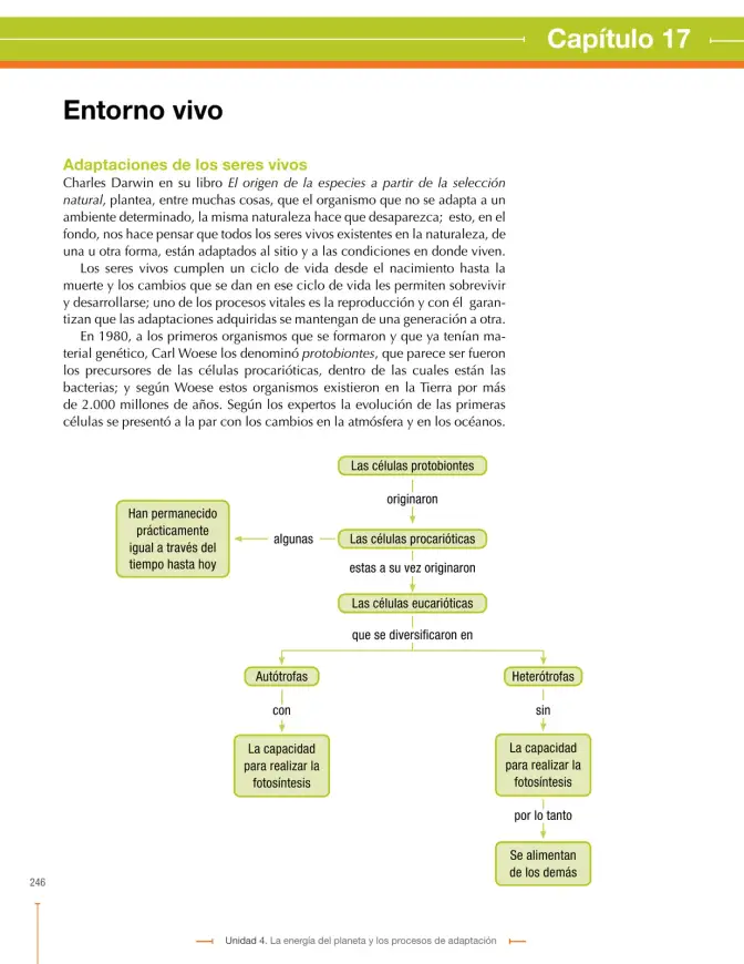 Página 246 de Ciencias Naturales 9° · Secundaria Activa