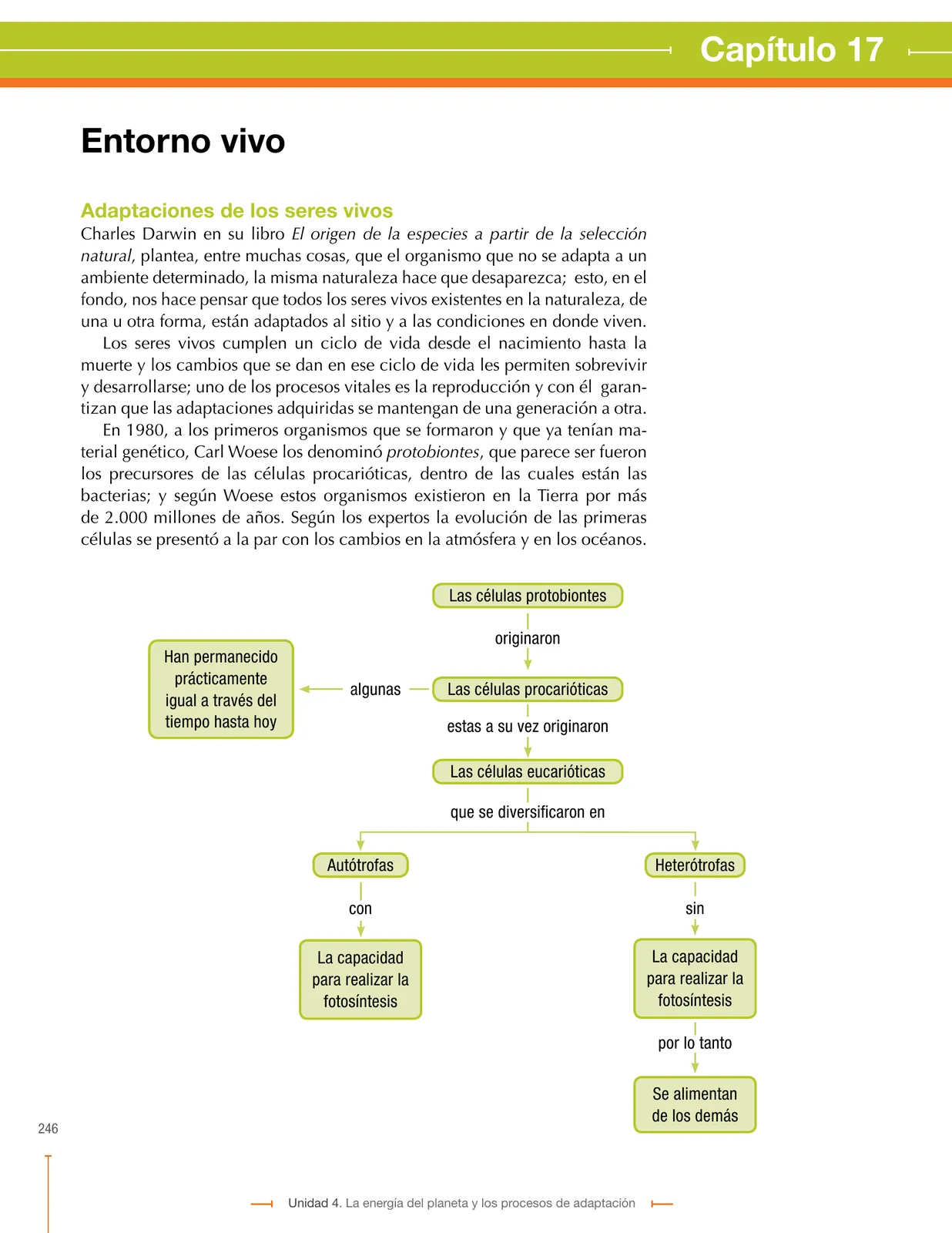 Página 246