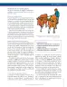 Miniatura página 151 de Ciencias Sociales 7° · Secundaria Activa