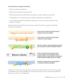 Miniatura página 11 de Sumo Primero – Primero Básico | Texto del Estudiante (MINEDUC) – Descargar PDF · 2024