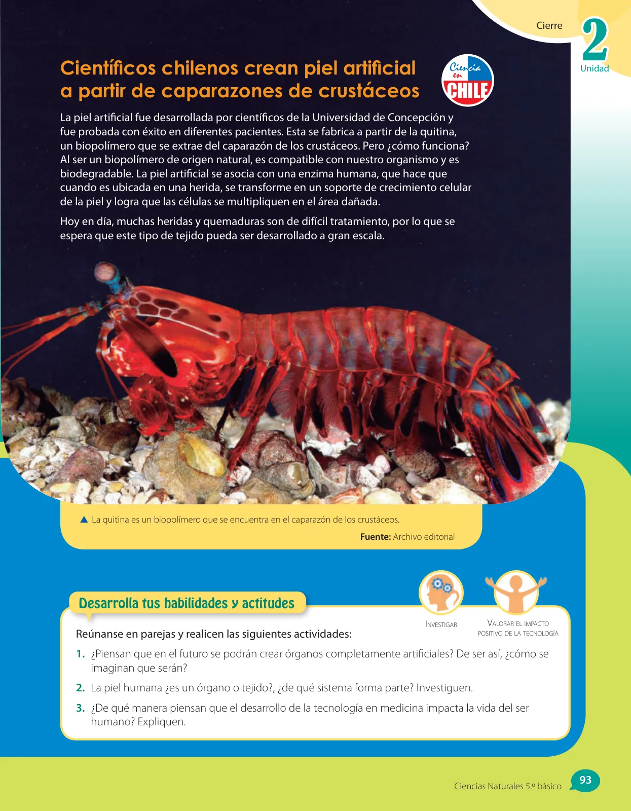 Miniatura página 171 de Libro de Ciencias Naturales – Quinto Básico | Texto del Estudiante MINEDUC – Descargar PDF · 2024