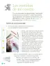 Miniatura página 111 de Proyectos de Aula.   Libro de Educación Primaria Grado 2°  Ciclo Escolar 2025 - 2026