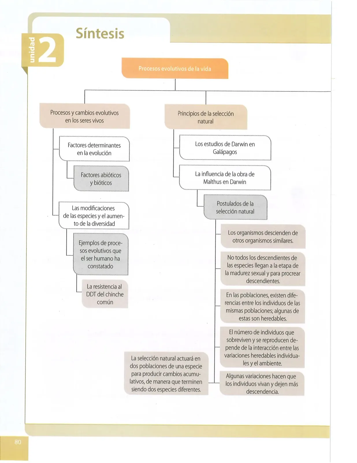 Página 77 de Ciencias Naturales · 10 EGB · 2024