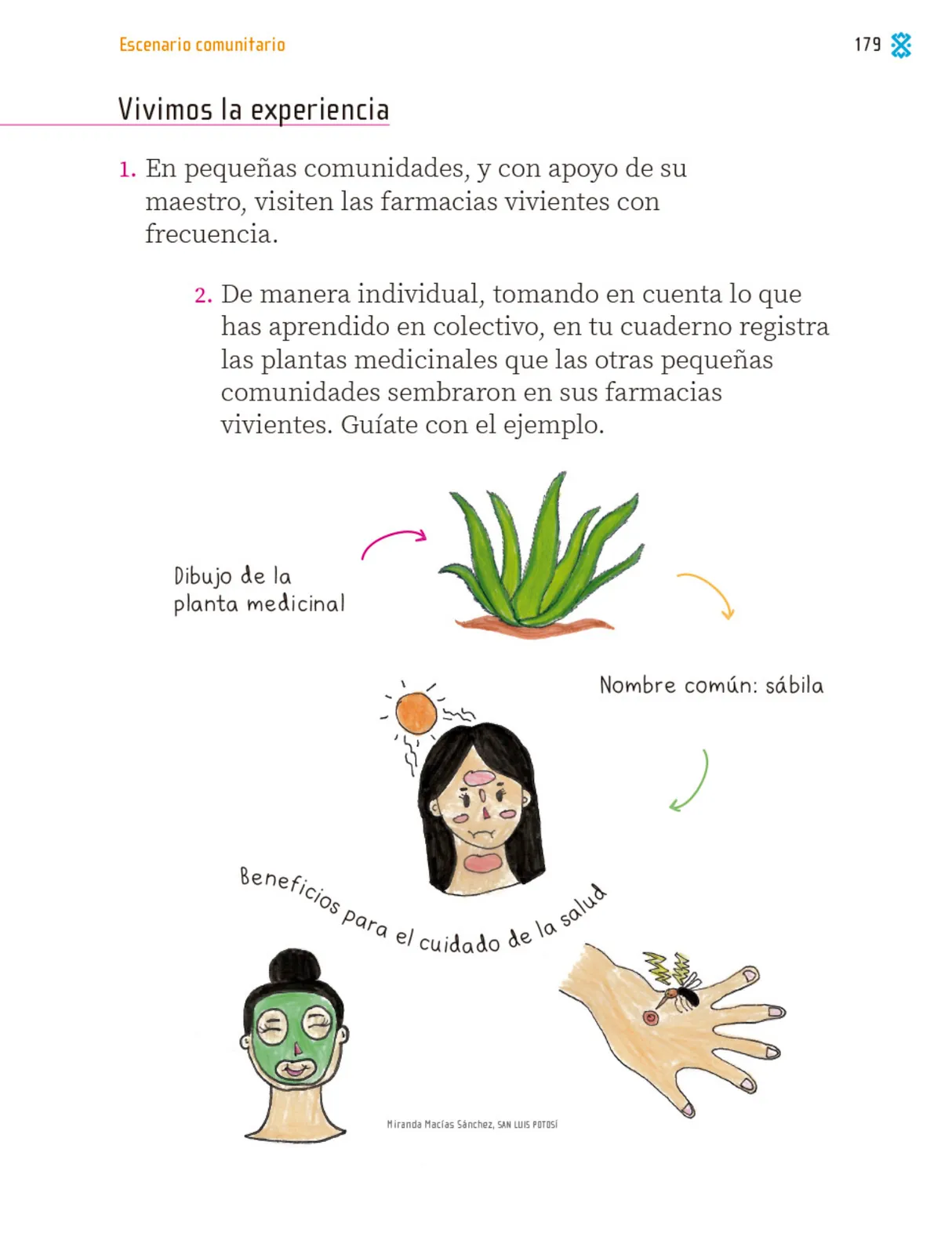 Miniatura página 180 de Proyectos Comunitarios.   Libro de Educación Primaria Grado 1°  Ciclo Escolar 2025 - 2026