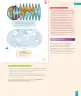 Miniatura página 37 de Historia, Geografía y Ciencias Sociales – Segundo Básico – Texto del Estudiante MINEDUC – Descargar PDF · 2024