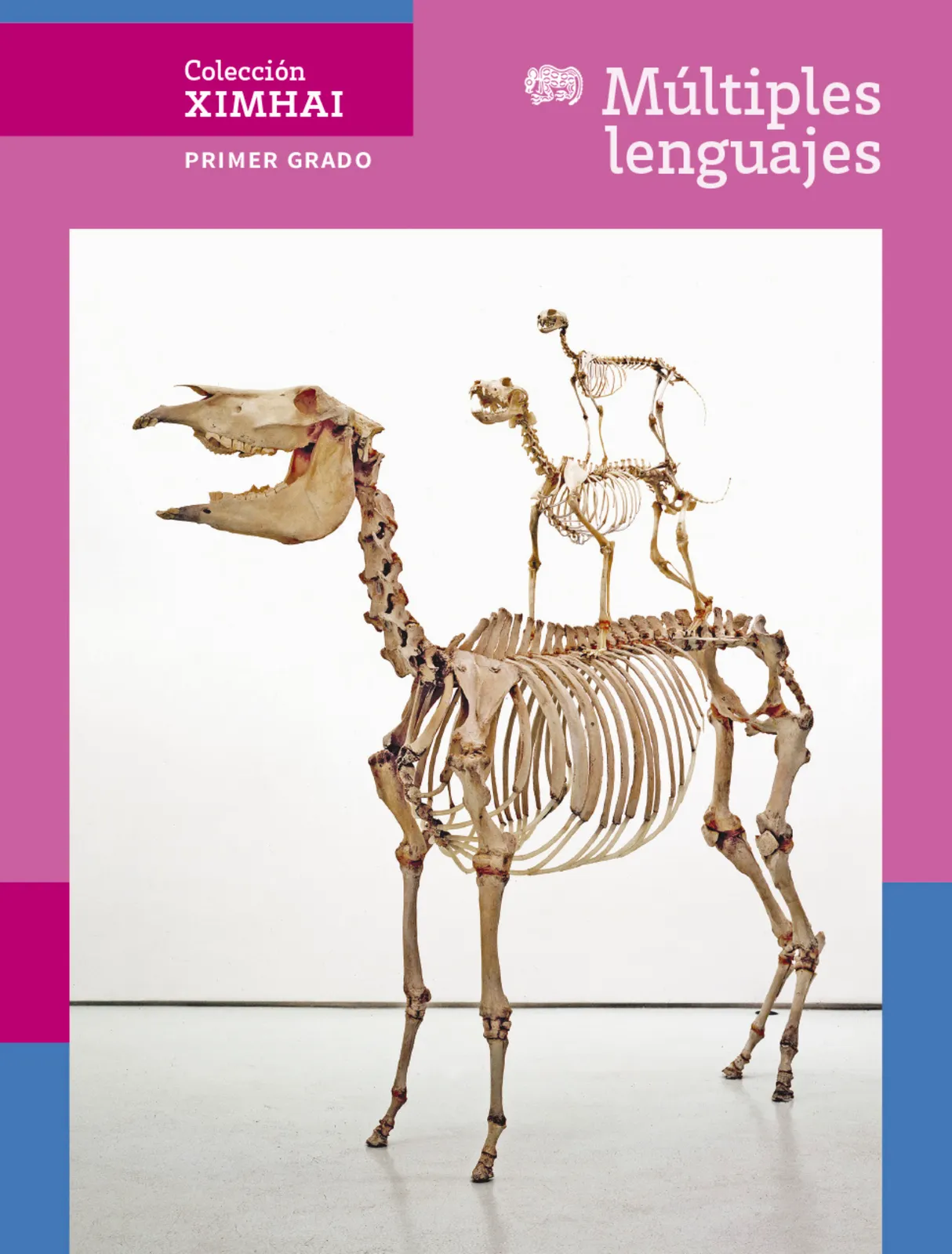 Portada de Colección Ximhai. Múltiples lenguajes. Libro de Educación Secundaria Grado 1° Ciclo Escolar 2025 - 2026