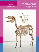 Portada de Colección Ximhai. Múltiples lenguajes.   Libro de Educación Secundaria Grado 1°  Ciclo Escolar 2025 - 2026