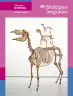 Miniatura página 1 de Colección Ximhai. Múltiples lenguajes.   Libro de Educación Secundaria Grado 1°  Ciclo Escolar 2025 - 2026