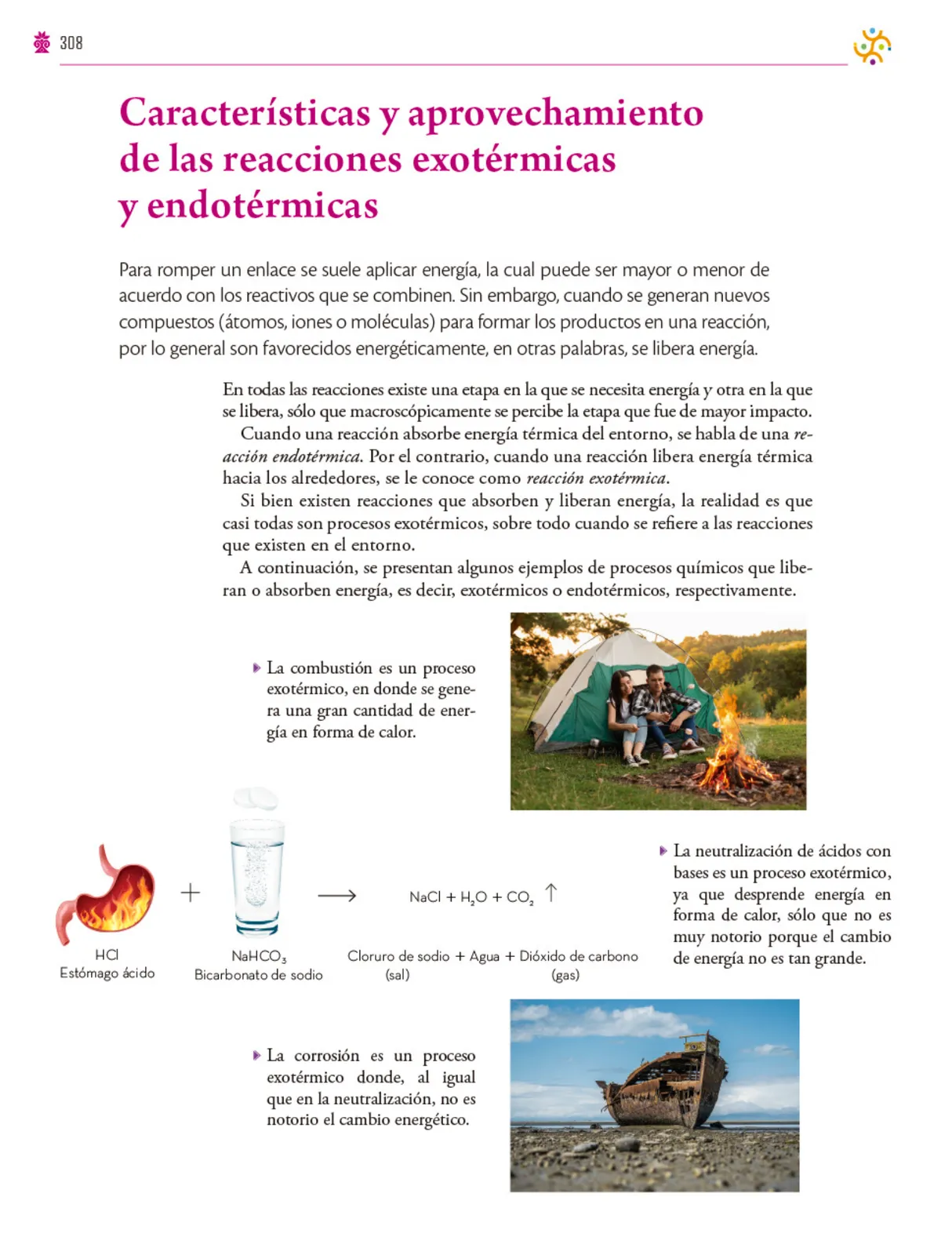Página 309 de Colección Nanahuatzin. Saberes y pensamiento científico.   Libro de Educación Secundaria Grado 3°  Ciclo Escolar 2025 - 2026