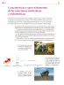 Miniatura página 309 de Colección Nanahuatzin. Saberes y pensamiento científico.   Libro de Educación Secundaria Grado 3°  Ciclo Escolar 2025 - 2026