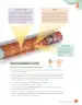 Miniatura página 85 de Libro de Ciencias Naturales – Quinto Básico | Texto del Estudiante MINEDUC – Descargar PDF · 2024