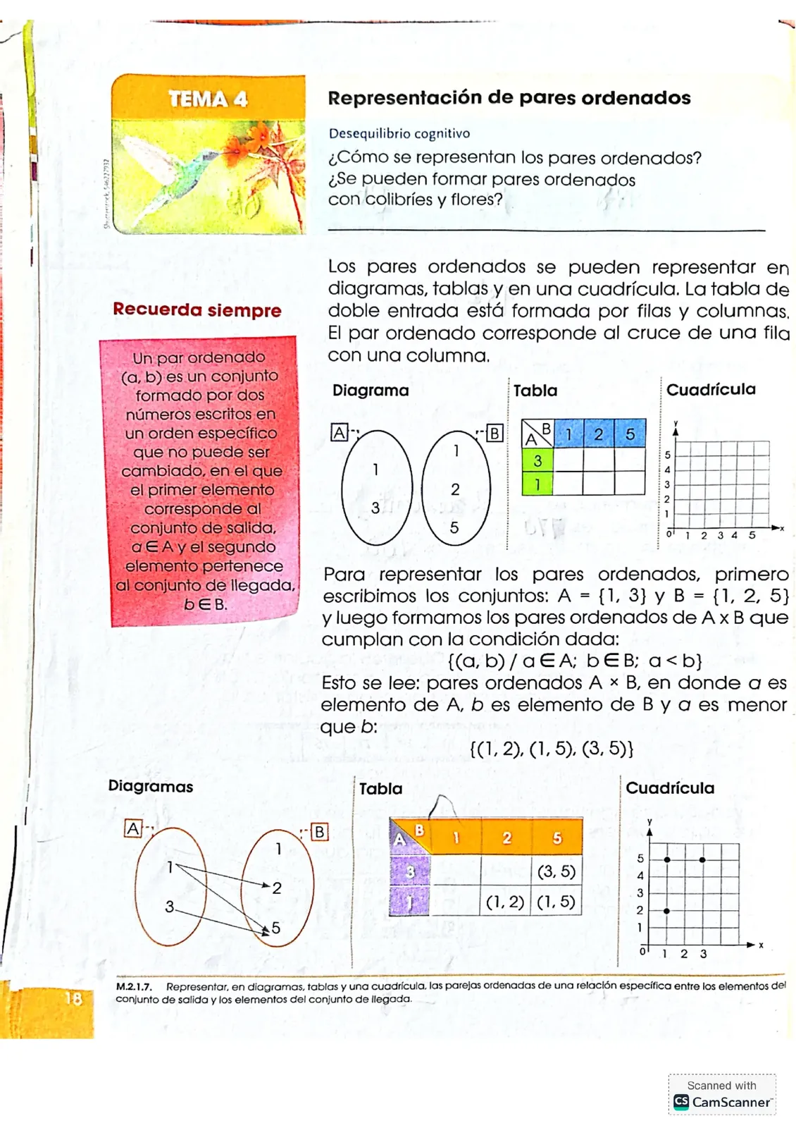 Pág 18