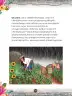 Miniatura página 146 de Llaqtanchikpa kawsayninkuna - Chanka. Saberes de los pueblos 1 - 1° Secundaria - Quechua chanka · 2023