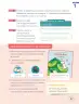 Miniatura página 29 de Lenguaje y Comunicación – Segundo Básico – Texto del Estudiante MINEDUC – Descargar PDF · 2024