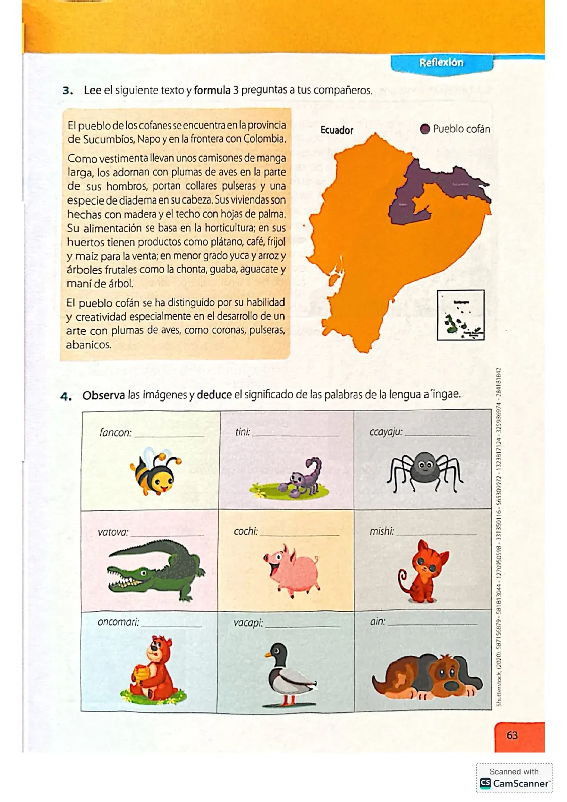 Página 63