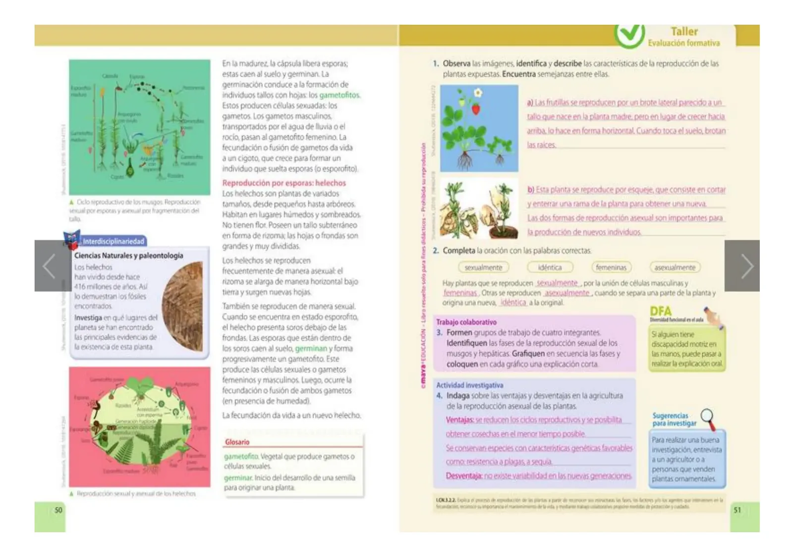 Página 25 de Ciencias Naturales · 5 EGB · 2024