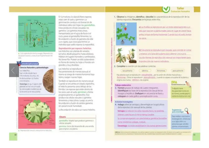 Página 25 de Ciencias Naturales 5° · Egb 5 Ciencias Naturales 2024 · 2024