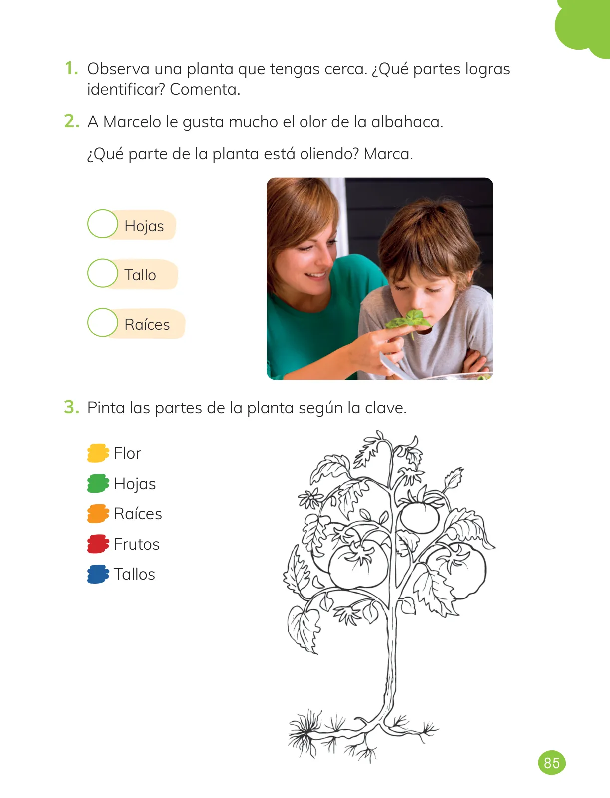 Miniatura página 87 de Ciencias Naturales – Primero Básico | Texto del Estudiante (MINEDUC) – Descargar PDF · 2024