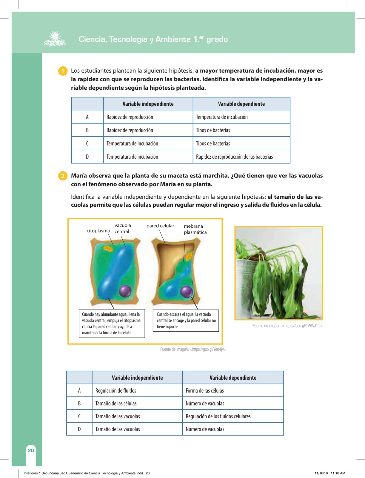 Página 20 de Ciencia, Tecnología y Ambiente 1. Cuaderno de reforzamiento pedagógico - JEC · 2016
