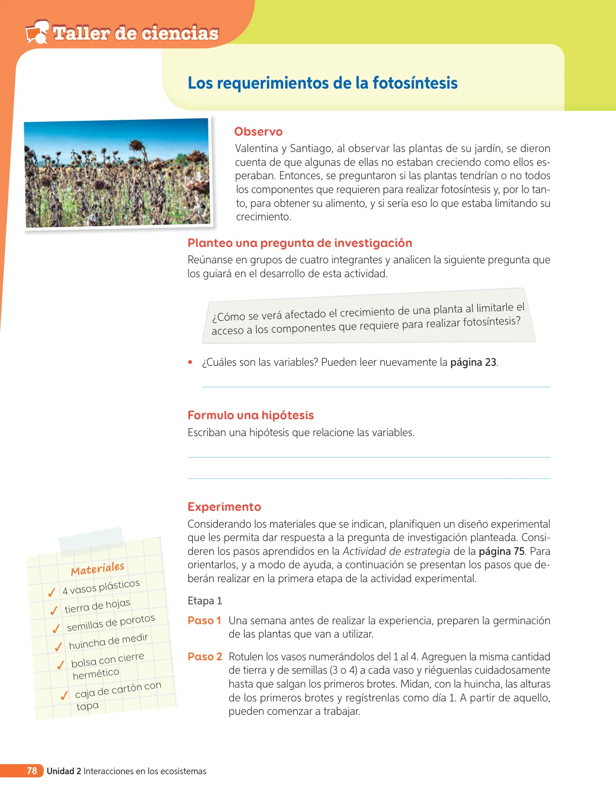 Página 197 de Libro de Ciencias Naturales – Quinto Básico | Texto del Estudiante MINEDUC – Descargar PDF · 2024
