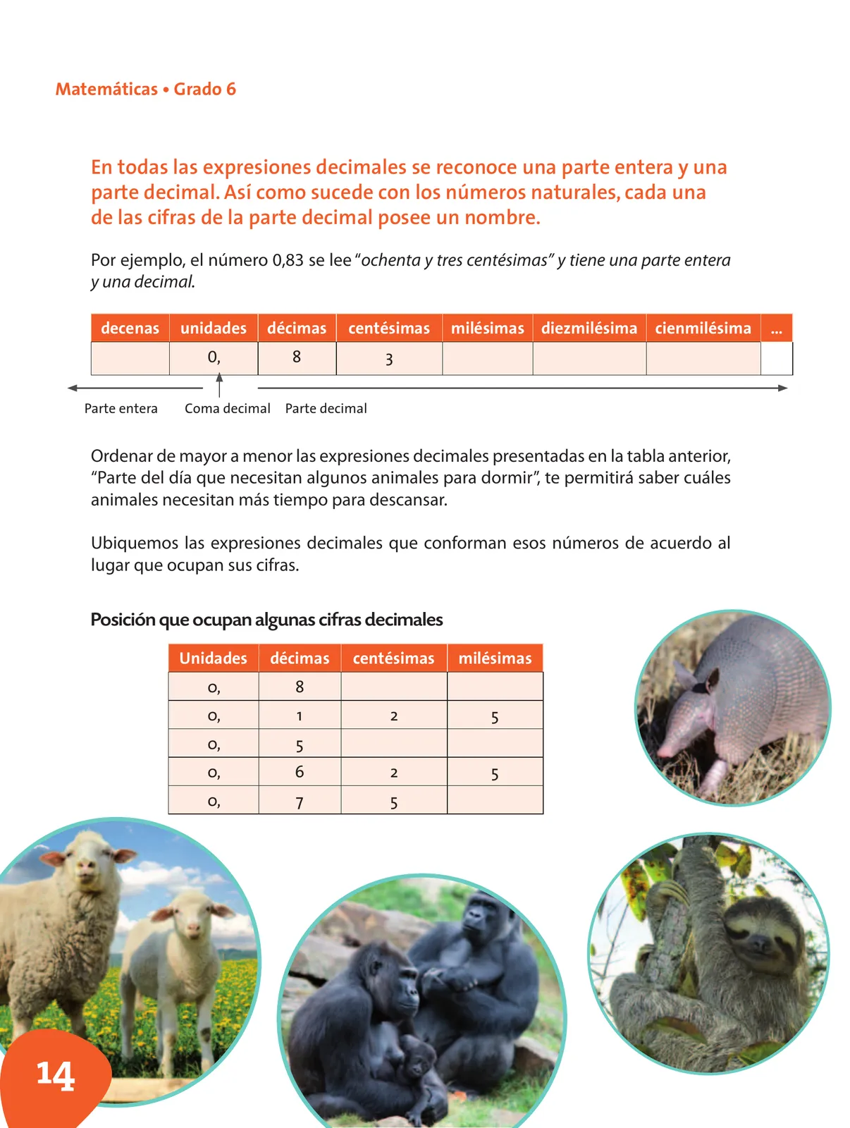 Pág 15