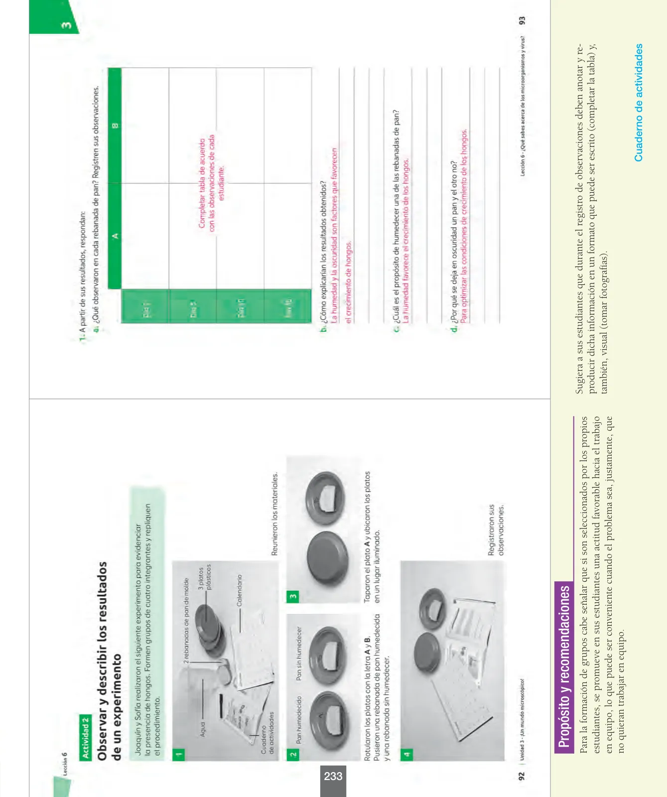 Miniatura página 58 de Ciencias Naturales – Séptimo Básico | Texto del Estudiante MINEDUC – Descargar PDF · 2024