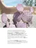 Miniatura página 213 de Múltiples lenguajes.   Libro de Educación Primaria Grado 4°  Ciclo Escolar 2025 - 2026